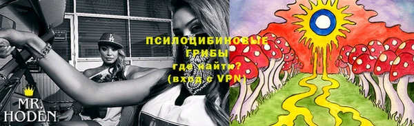 МДМА Протвино